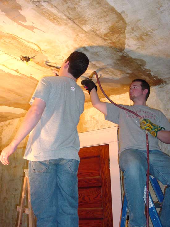nursery06.jpg