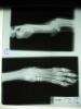 post-217-1217686327_thumb.jpg