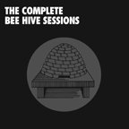 bee hive.jpg