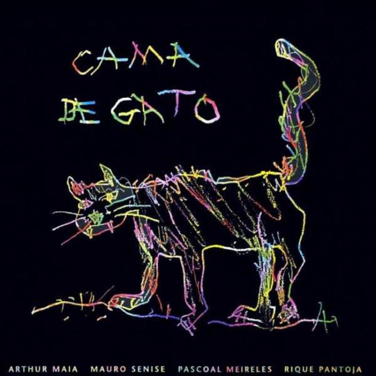 Cat - Cama de Gato (Copy).jpg