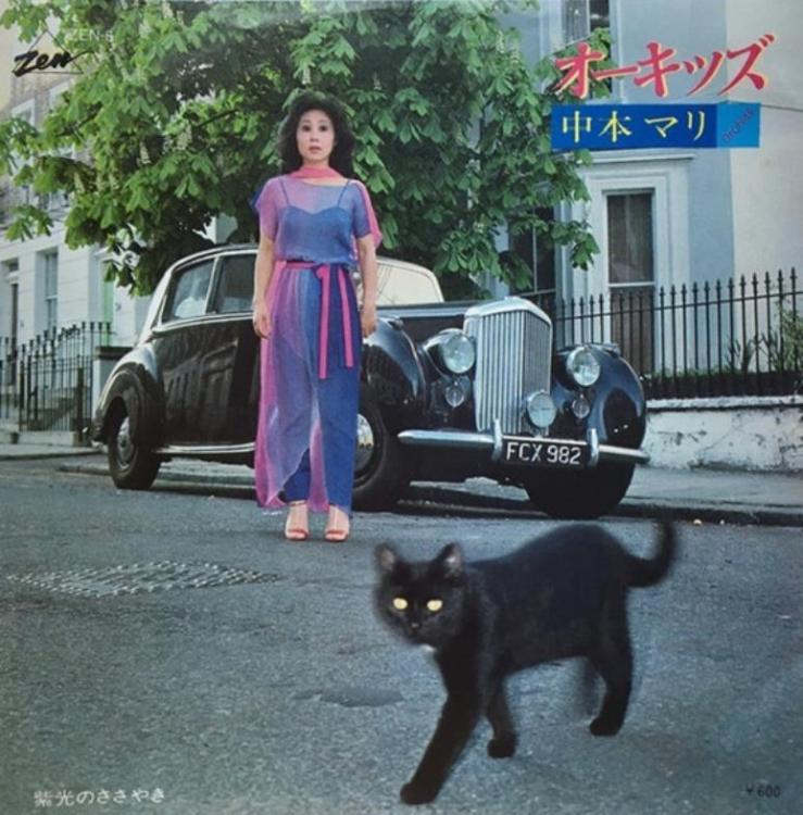 Cat - Mari Nakamoto (Copy).jpg