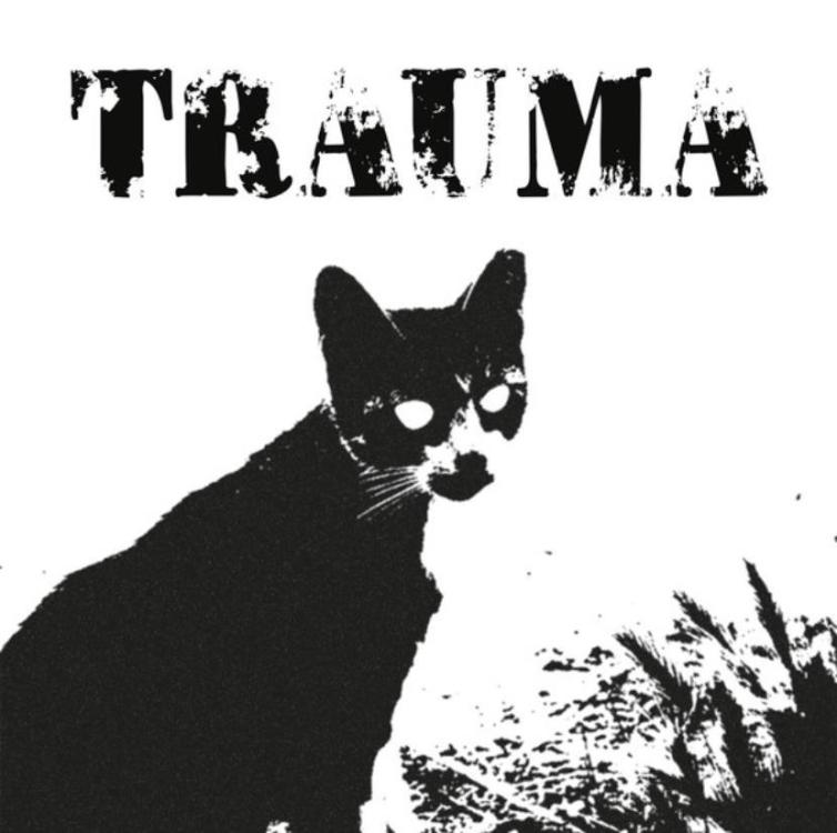 Cat - Trauma (Copy).jpg