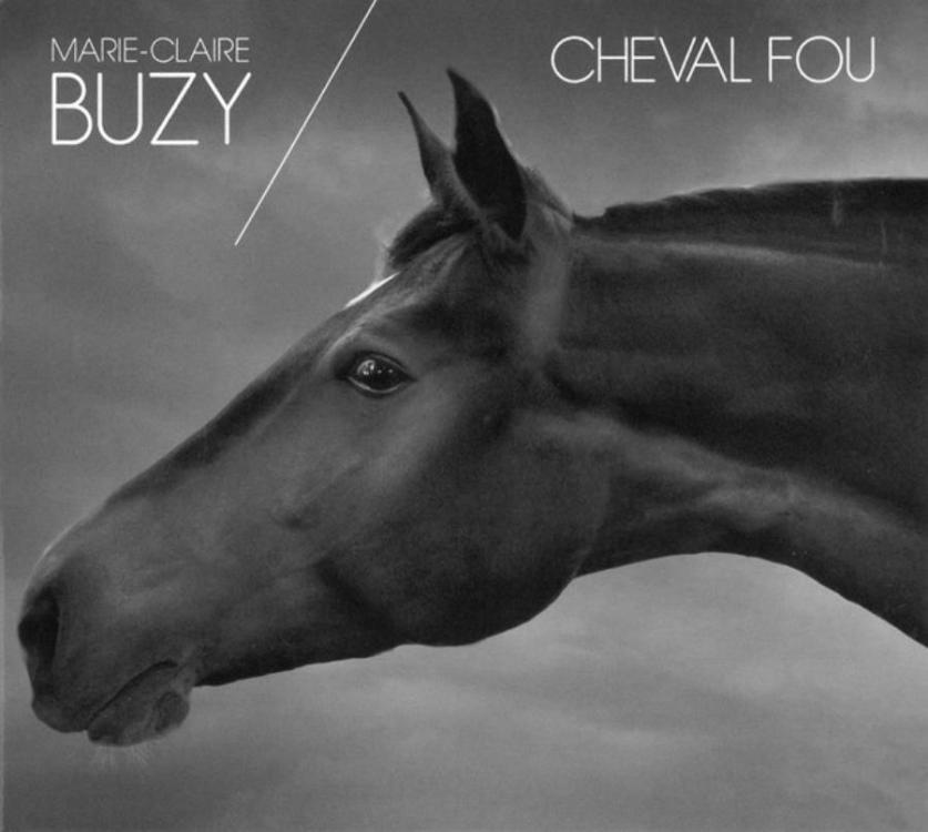 Horse Buzy Cheval fou (Copy).jpg