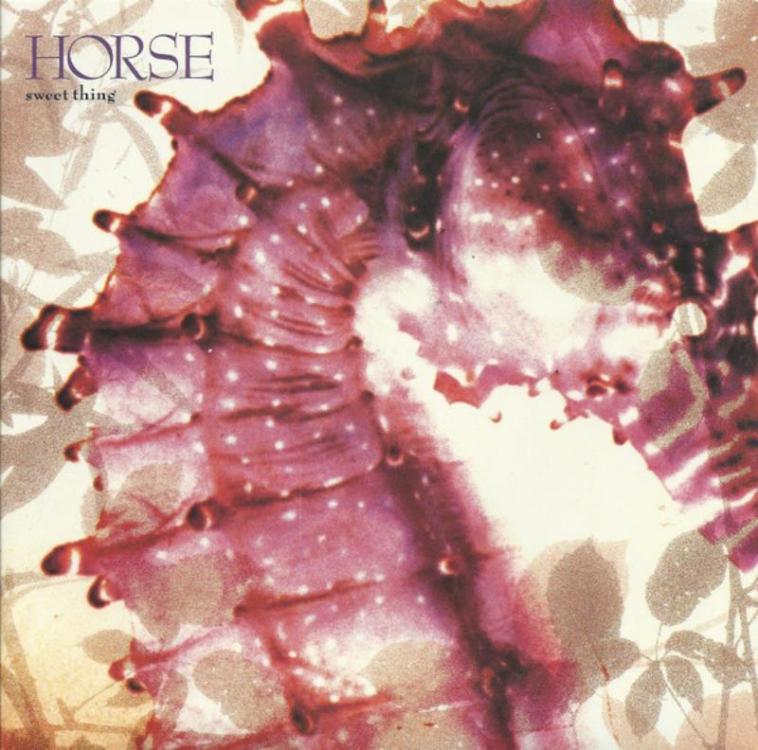 Horse Sweet Thing2 (Copy).jpg