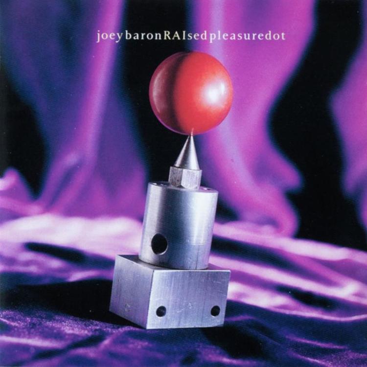Purple - Joey Baron RAIsed Pleasure Dot (Copy).jpg
