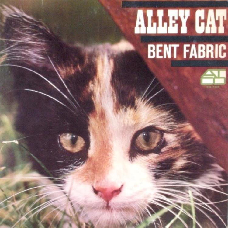 Cat - Bent Fabric – Alley Cat (Copy).jpg