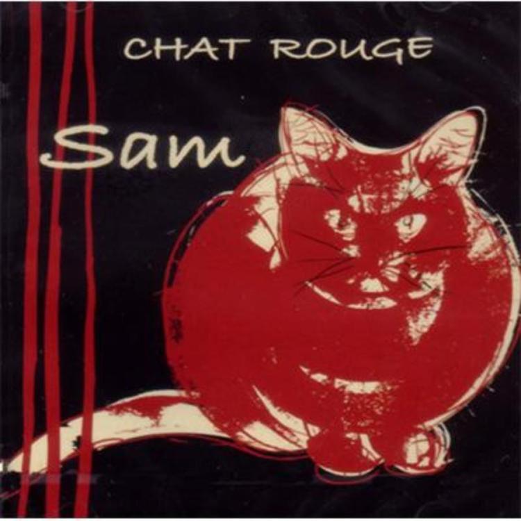 Cat - Sam (265) – Chat Rouge (Copy).jpg