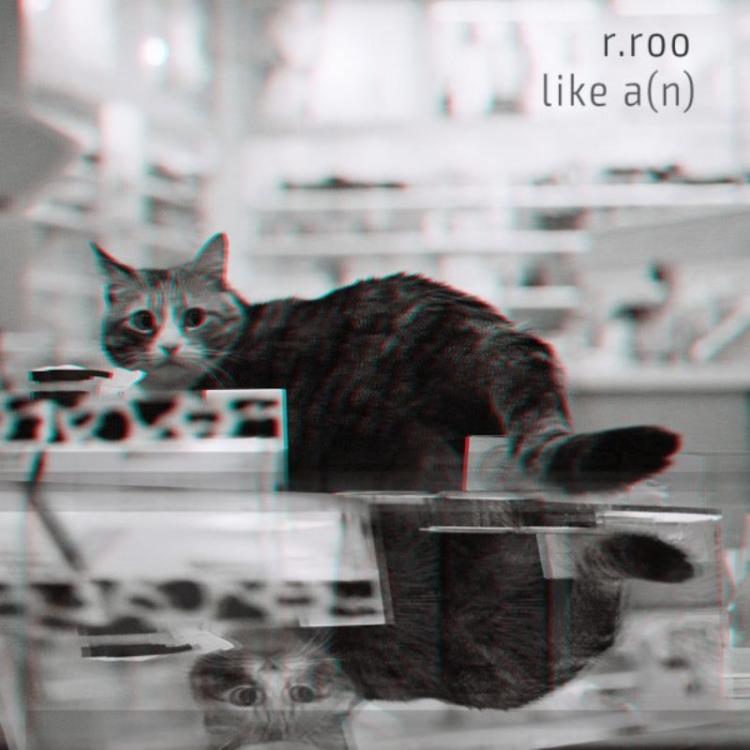 Cat - r.roo – Like A​(​n) (Copy).jpg